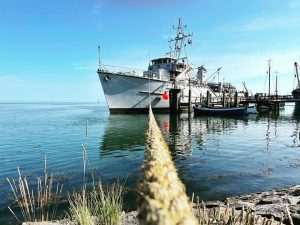 294511363_3289609138031766_7469733270939890701_n