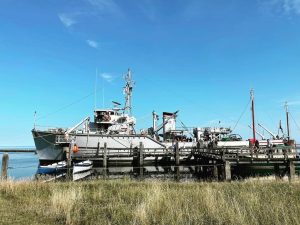 295669103_3289608311365182_5497190416017242132_n