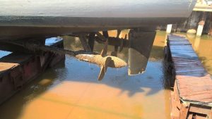 32074038_2054755878183771_7102494435648208896_n