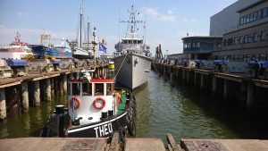 32155280_2054755791517113_453594137535447040_n