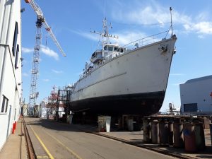 32261034_2055970461395646_7552979394818473984_n