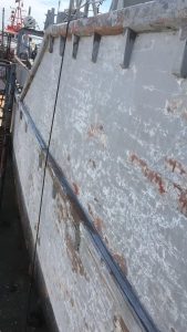 33130991_2061978777461481_4866347621683298304_n