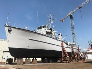 33692029_2065428507116508_1684746942430576640_n