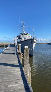 357046571_585762417092511_8596599617979238422_n