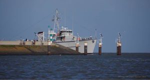 38071475_2125834537742571_2949688482676604928_n