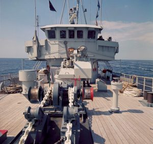 45696386_2203212246671466_5062247397950750720_n