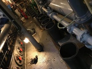 463126357_3899216347071039_407030055589712631_n