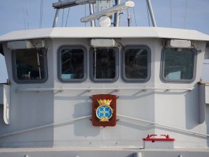 49158462_2246748098984547_8578887266099789824_n